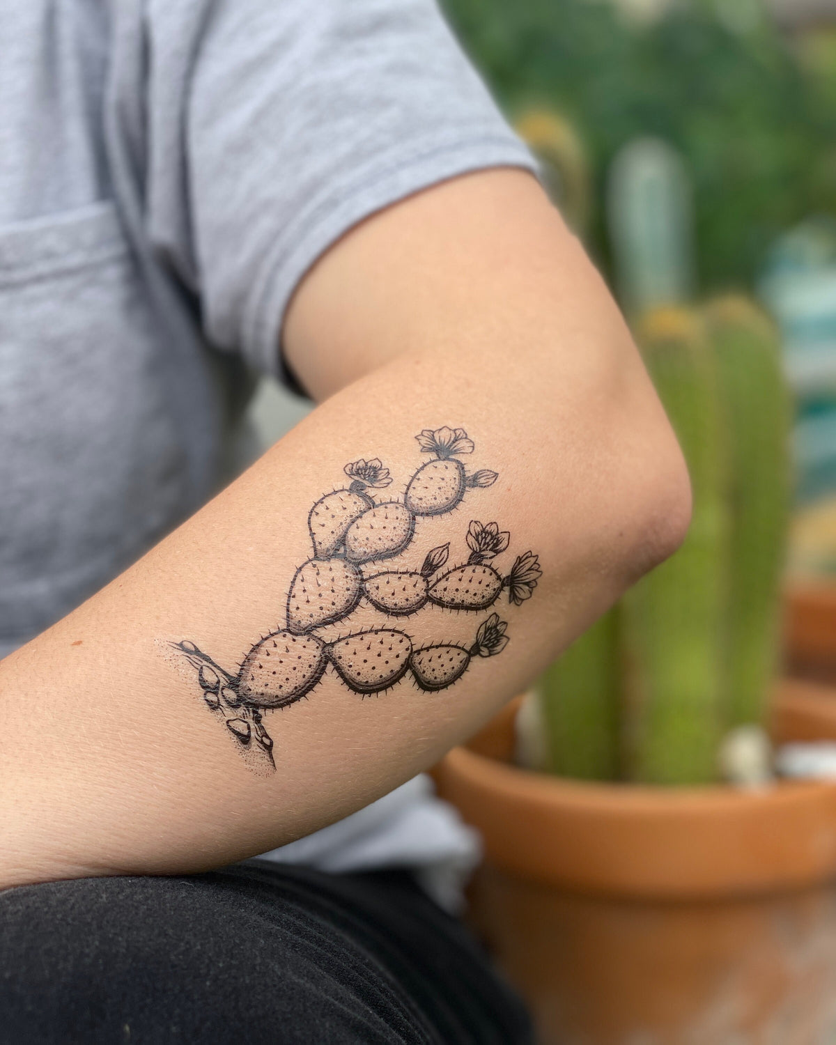 Prickly Pear Temporary Tattoo  Desert Botanical  NatureTats