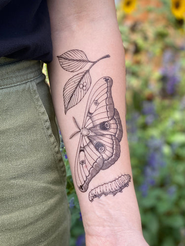 Polyphemus Moth Temporary Tattoo, Lifecycle Design, Nature Lover Gift, Stocking Stuffers & Party Favors