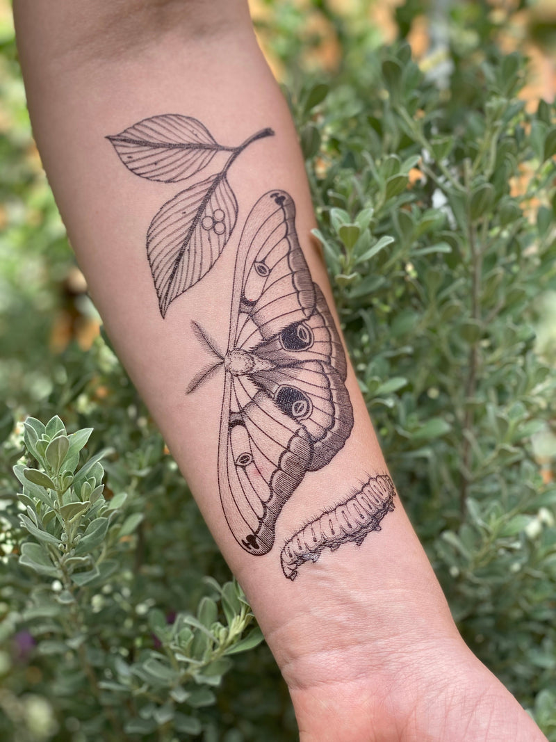 Polyphemus Moth Temporary Tattoo, Lifecycle Design, Nature Lover Gift, Stocking Stuffers & Party Favors