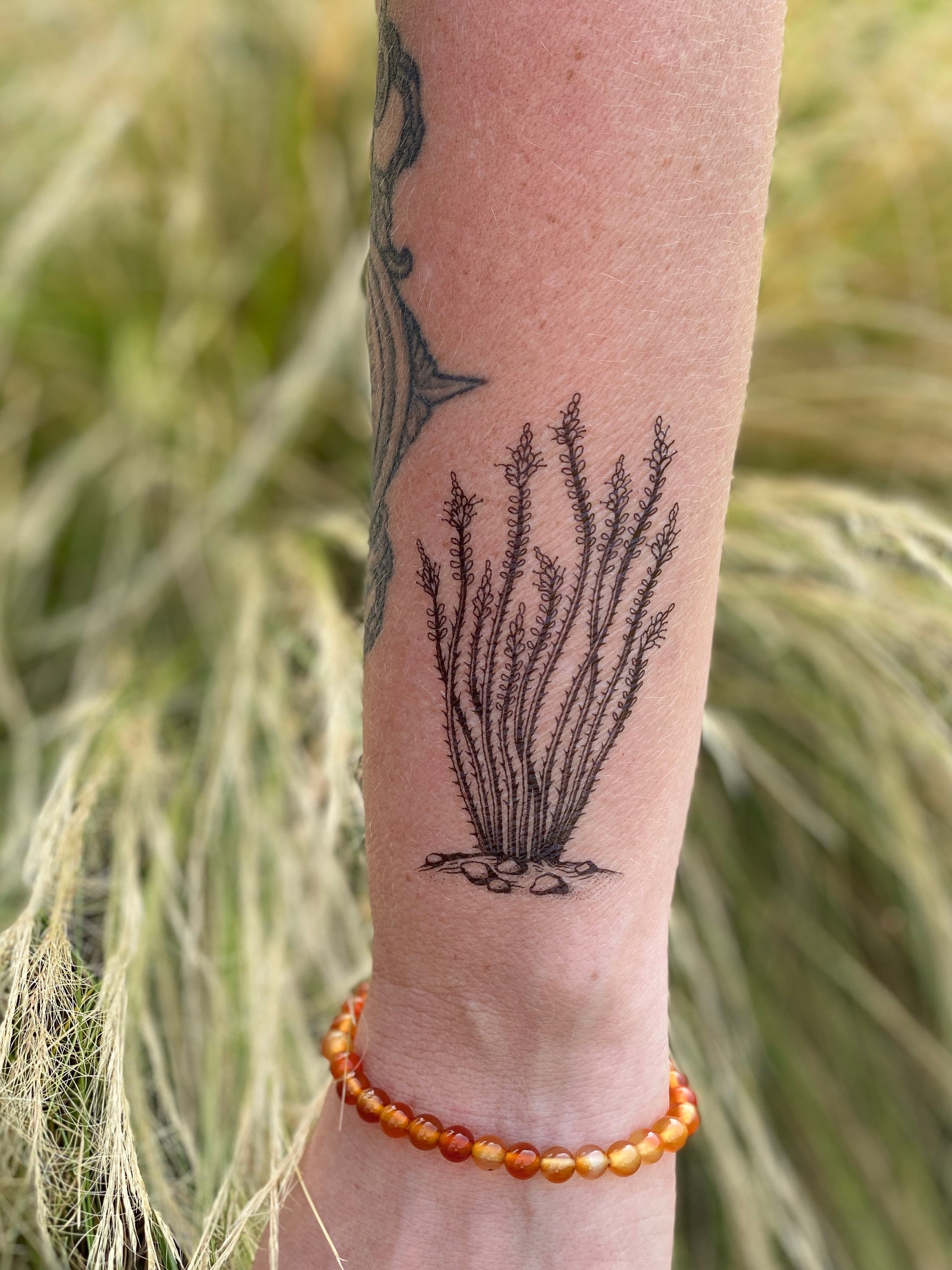 NatureTats Ocotillo Temporary Tattoo