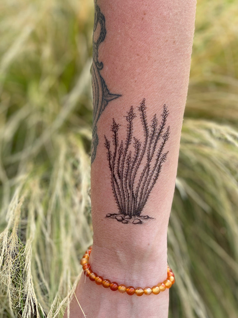 Ocotillo Temporary Tattoo, Desert Lover Gift, Stocking Stuffers & Party Favors