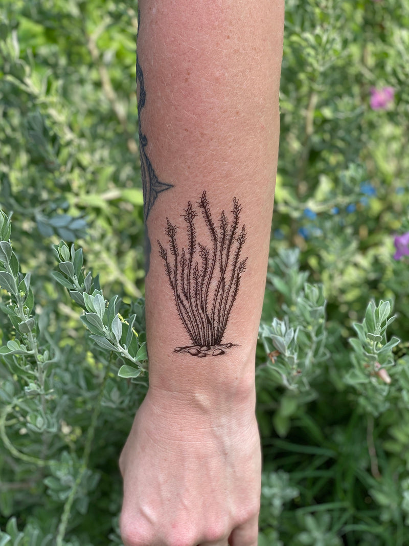 Ocotillo Temporary Tattoo, Desert Lover Gift, Stocking Stuffers & Party Favors