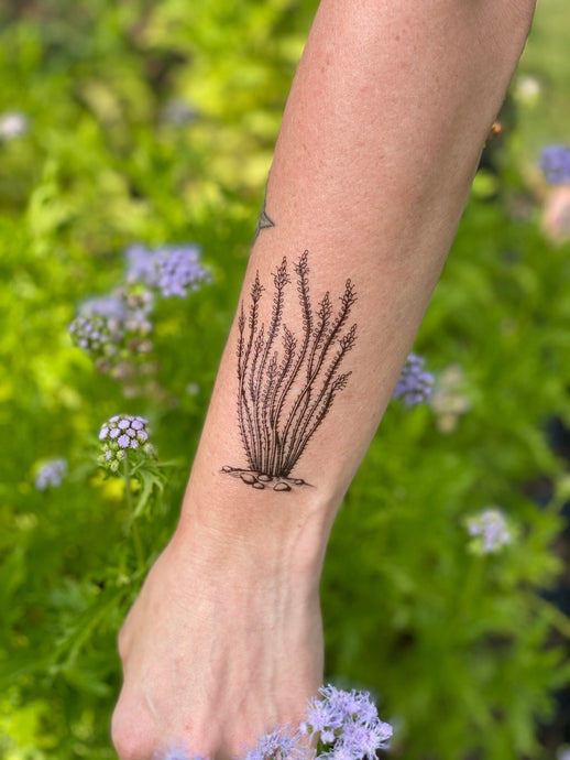 Ocotillo Temporary Tattoo, Desert Lover Gift, Stocking Stuffers & Party Favors