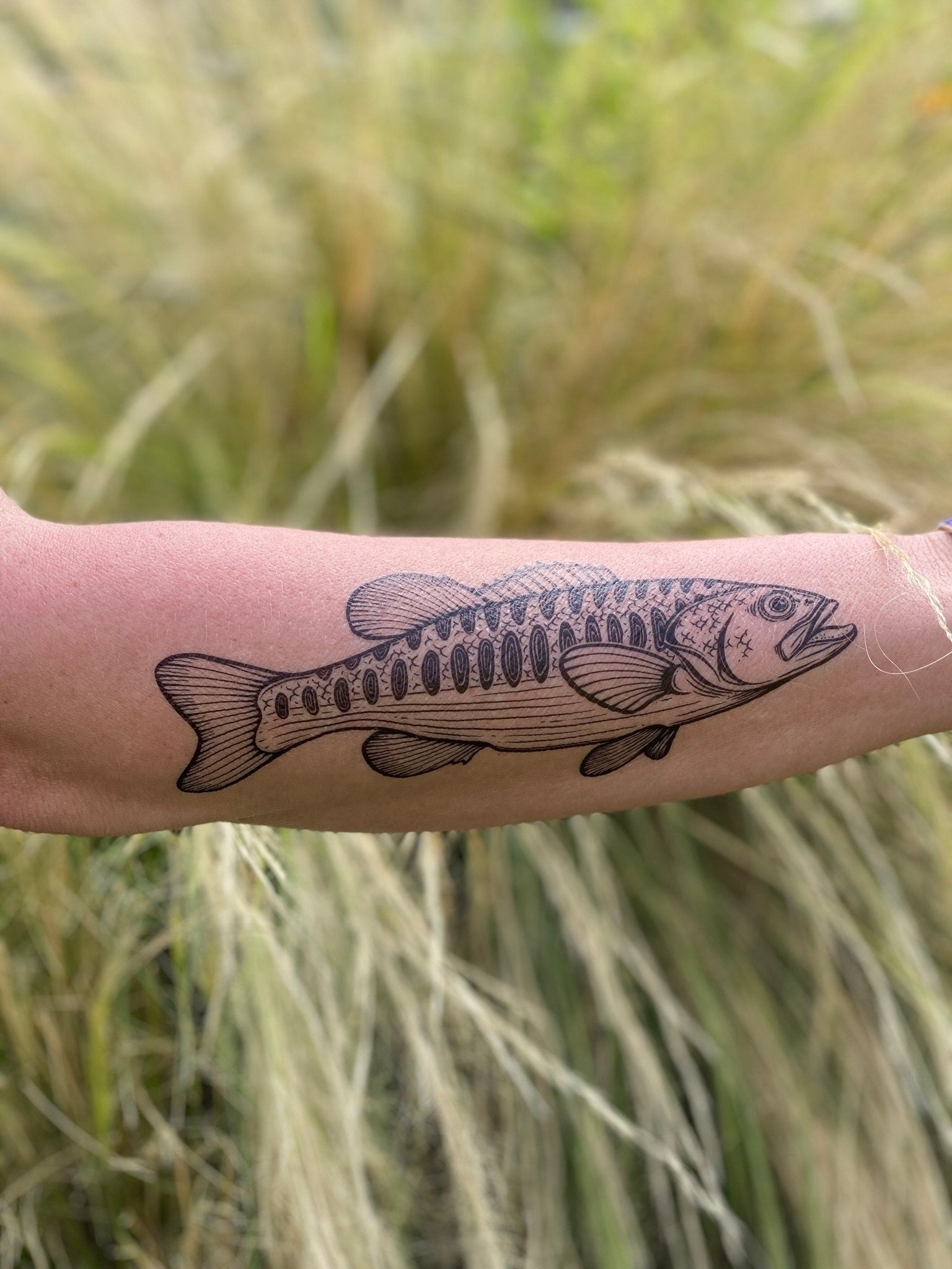 Custom Butterflies Tattoo Add Text to Fake Tatoo - Etsy Canada | Rose tattoo  sleeve, Cool forearm tattoos, Forearm tattoo design