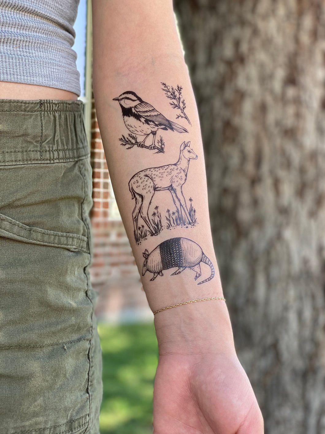 Hill Country Wildlife Temporary Tattoo Collection, Texas Wildlife, Golden Cheeked Warbler, Fawn, Deer, Armadillo, Juniper Tree, Nature